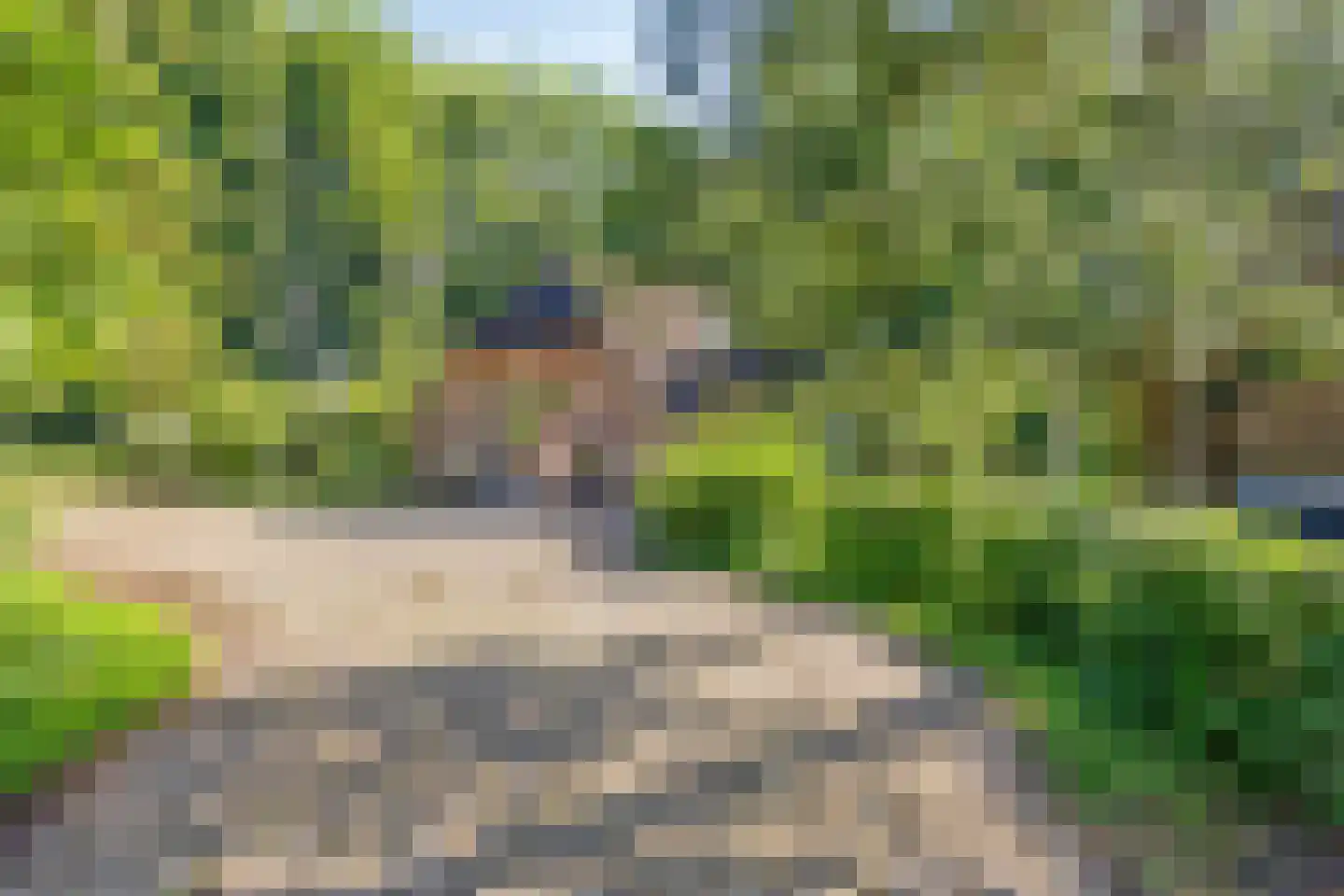 Koelerweg 11 Harfsen thumbnail 4