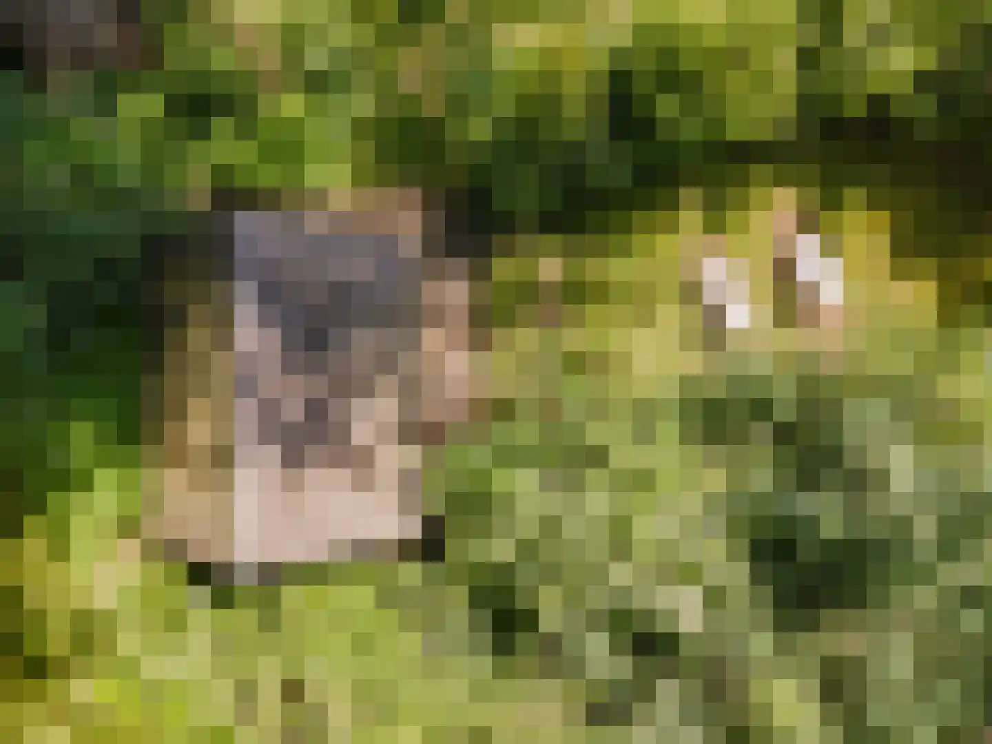 Koelerweg 11 Harfsen thumbnail 42