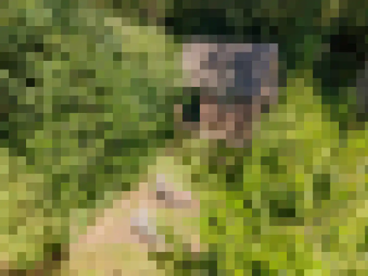 Koelerweg 11 Harfsen thumbnail 43