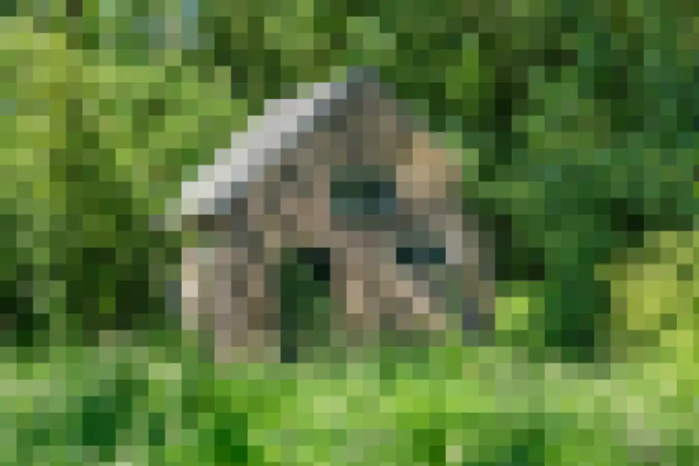 Koelerweg 11 Harfsen thumbnail 44