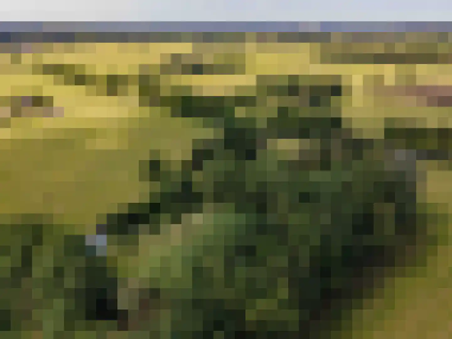 Koelerweg 11 Harfsen thumbnail 49
