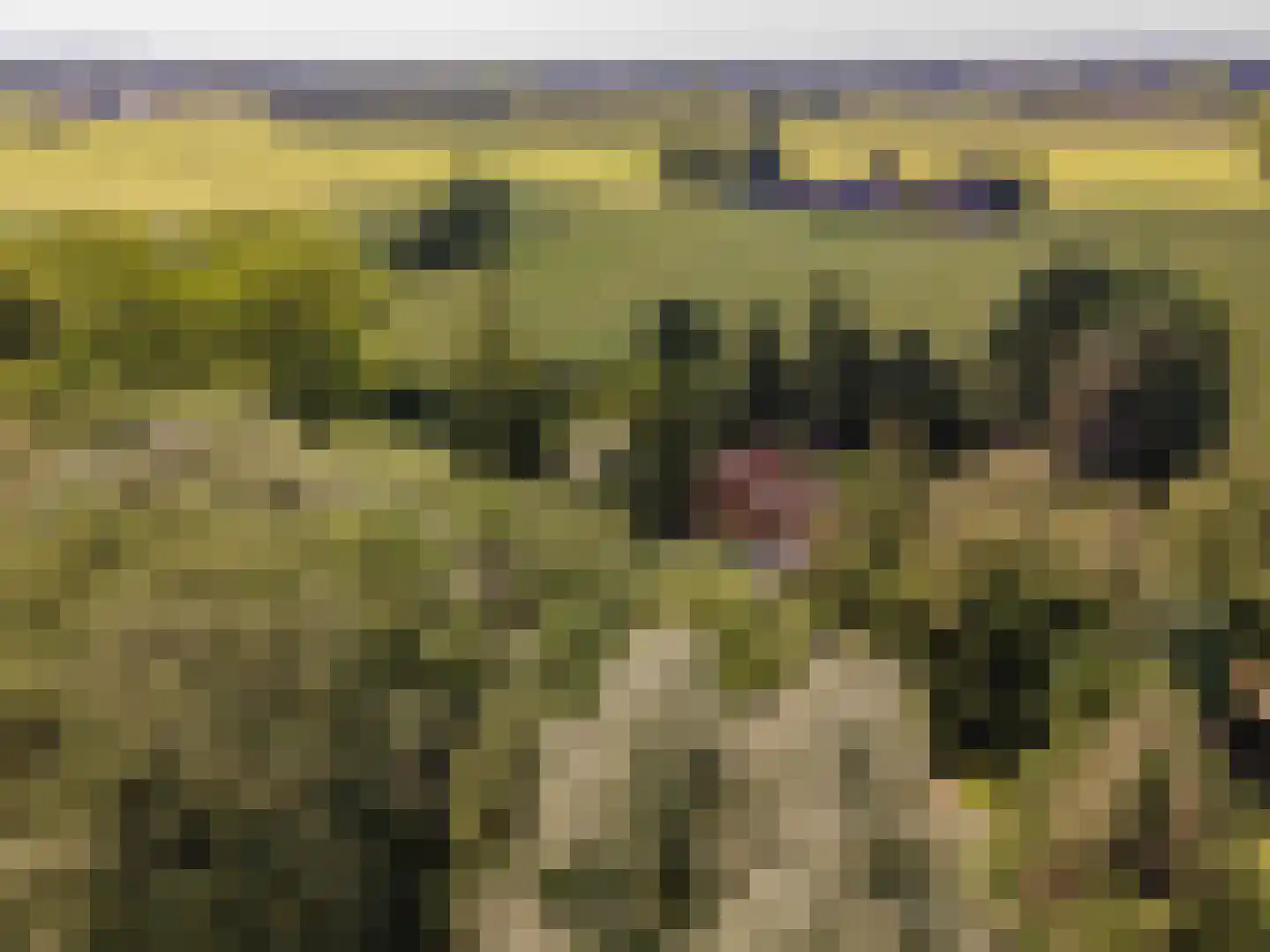 Koelerweg 11 Harfsen thumbnail 50
