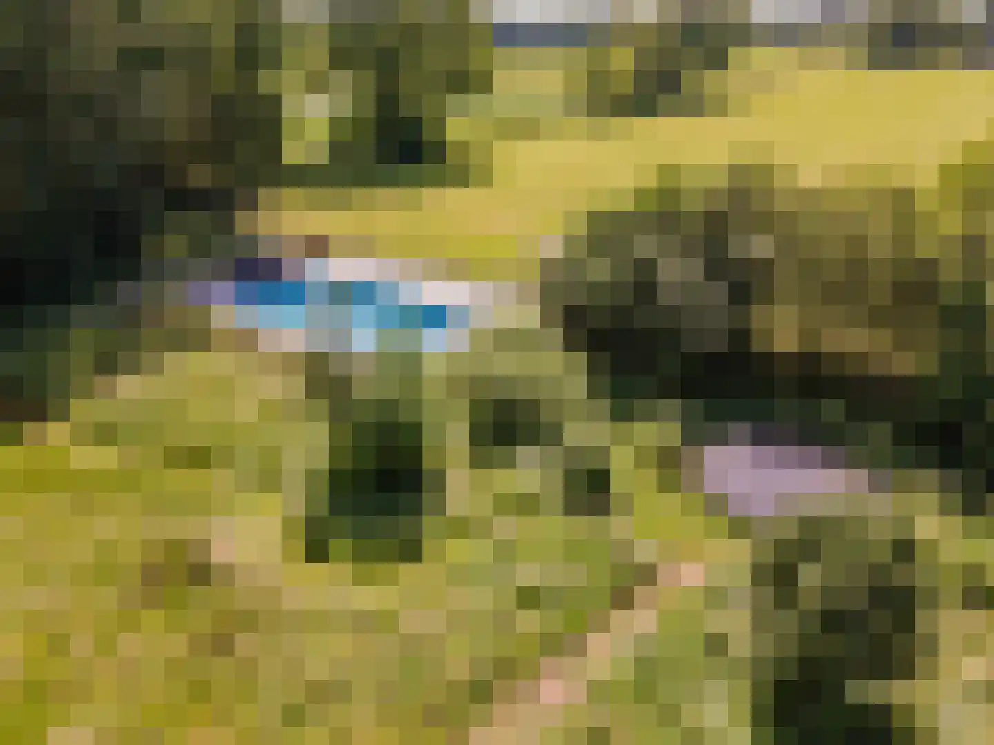 Koelerweg 11 Harfsen thumbnail 53