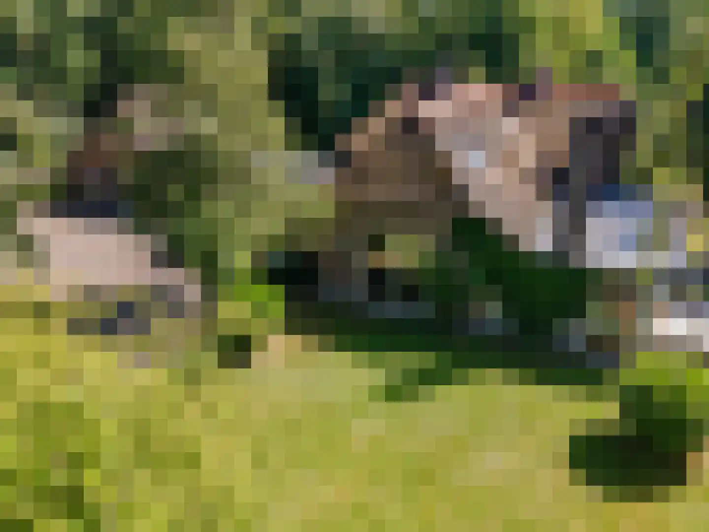 Koelerweg 11 Harfsen thumbnail 55