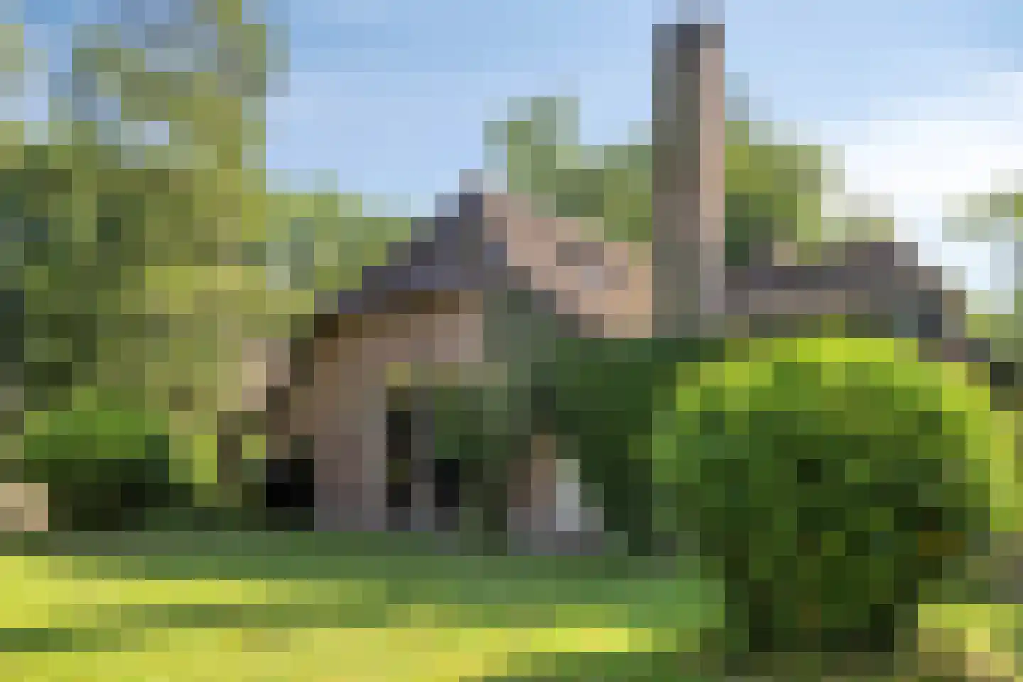 Koelerweg 11 Harfsen thumbnail 57