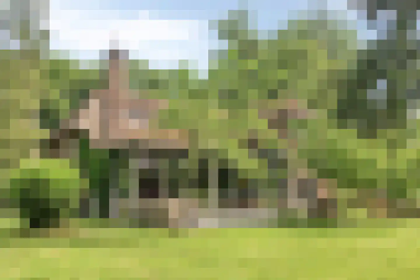 Koelerweg 11 Harfsen thumbnail 59