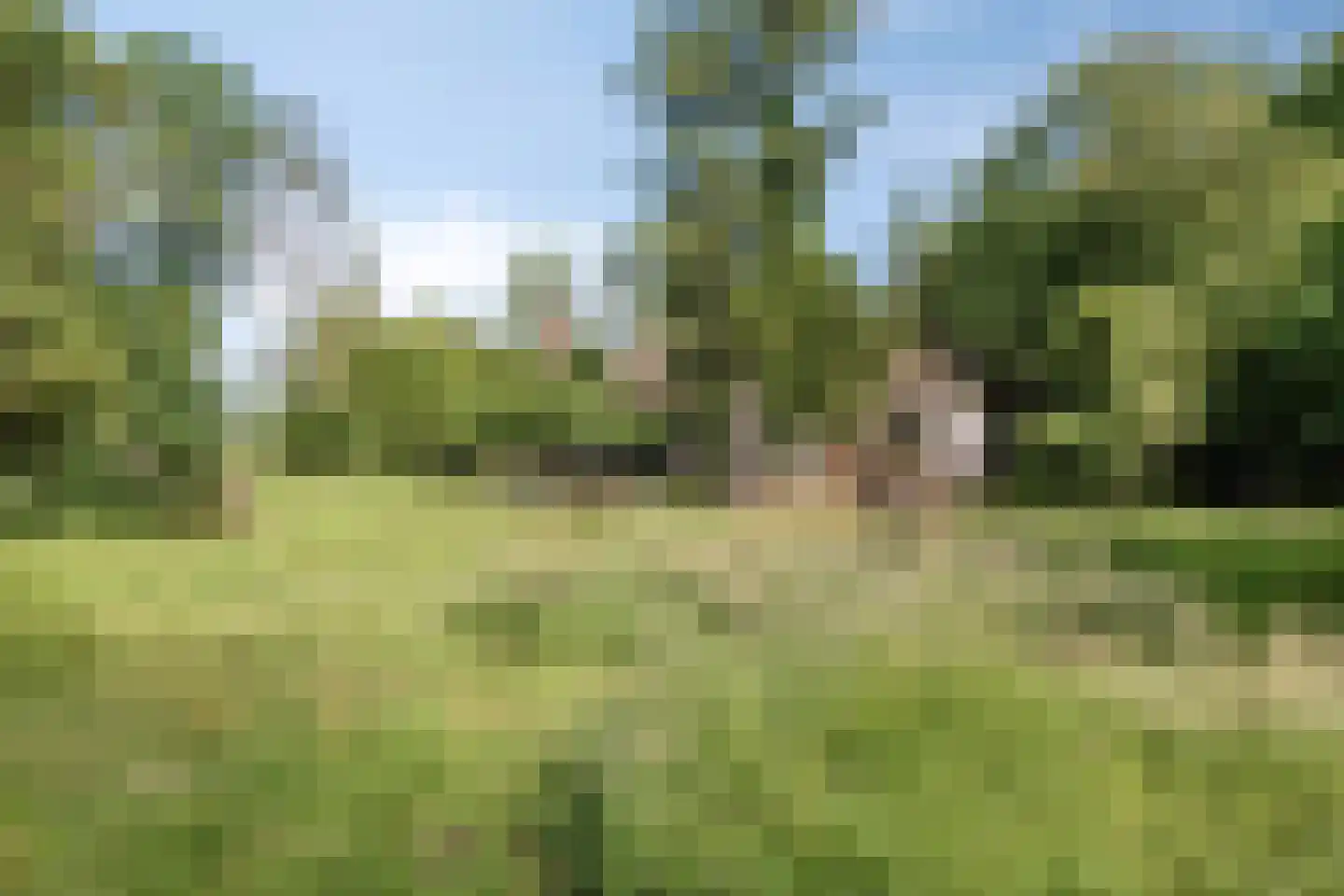 Koelerweg 11 Harfsen thumbnail 60