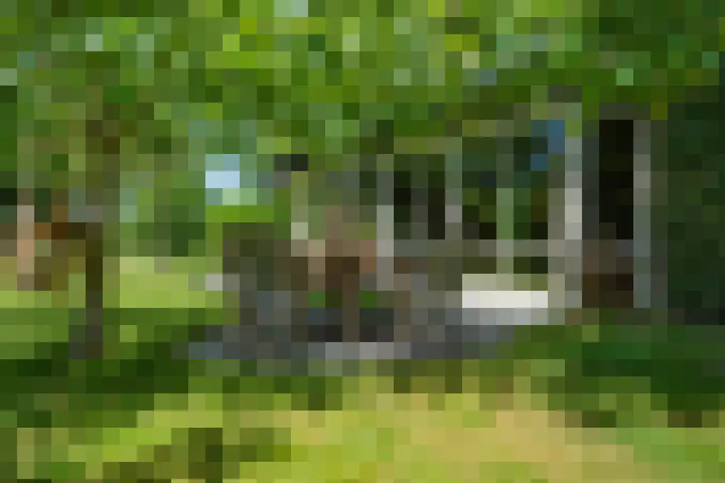 Koelerweg 11 Harfsen thumbnail 61