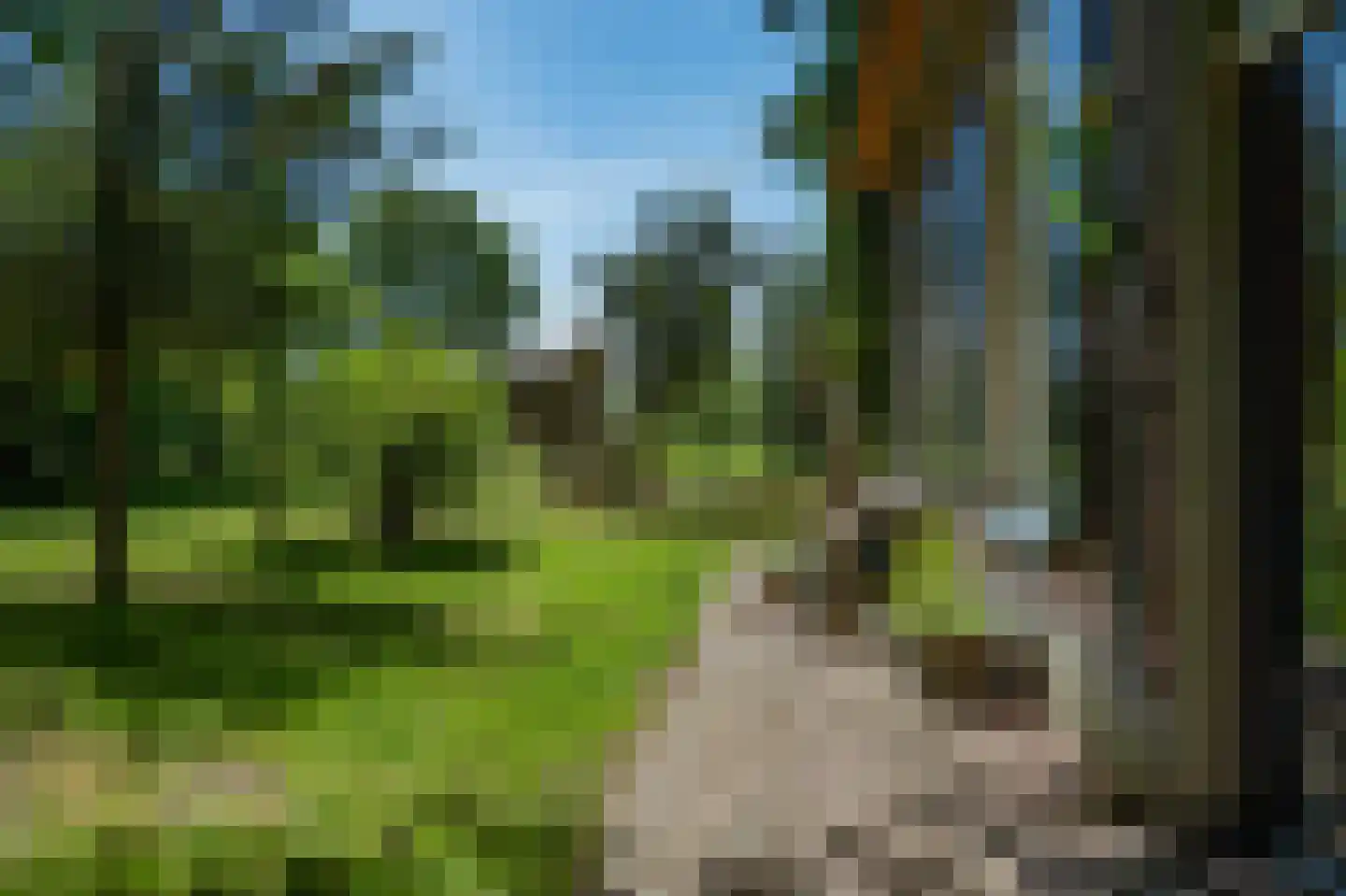 Koelerweg 11 Harfsen thumbnail 62