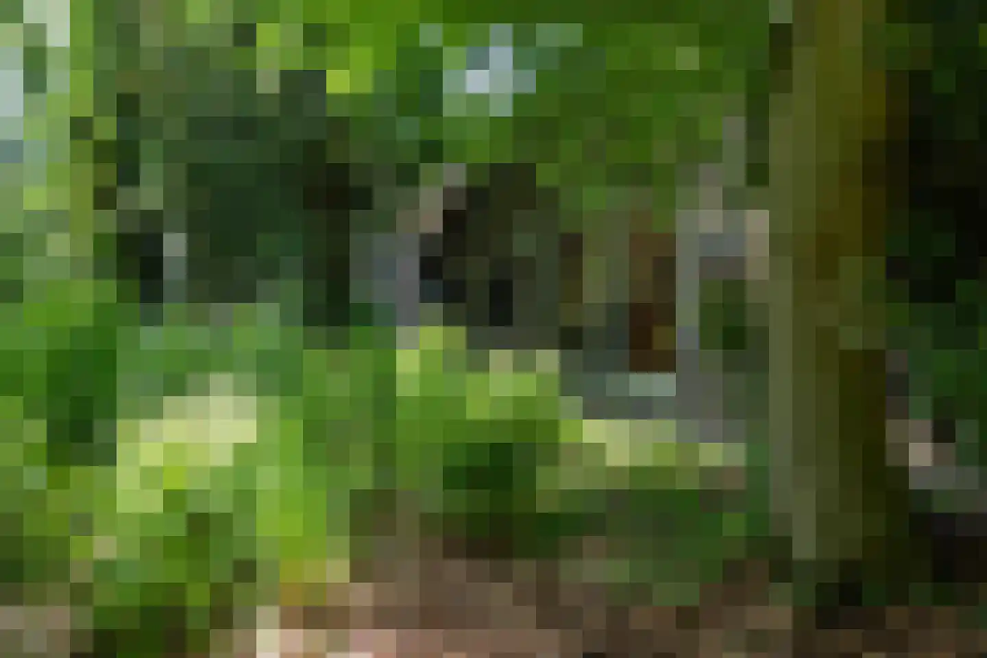 Koelerweg 11 Harfsen thumbnail 65
