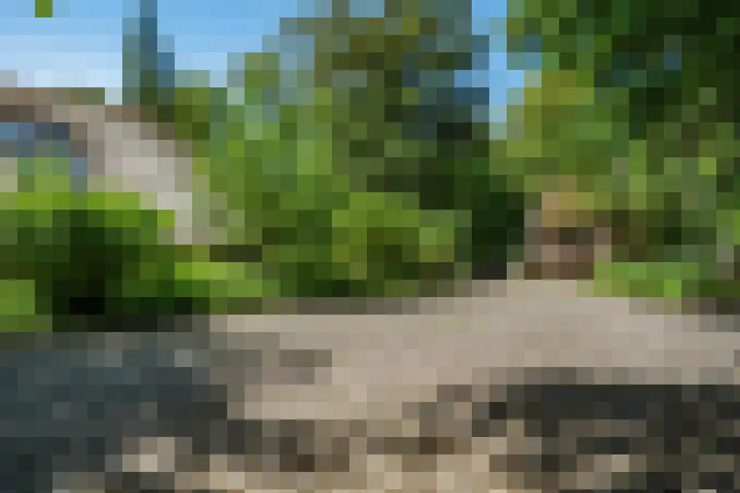 Koelerweg 11 Harfsen thumbnail 66