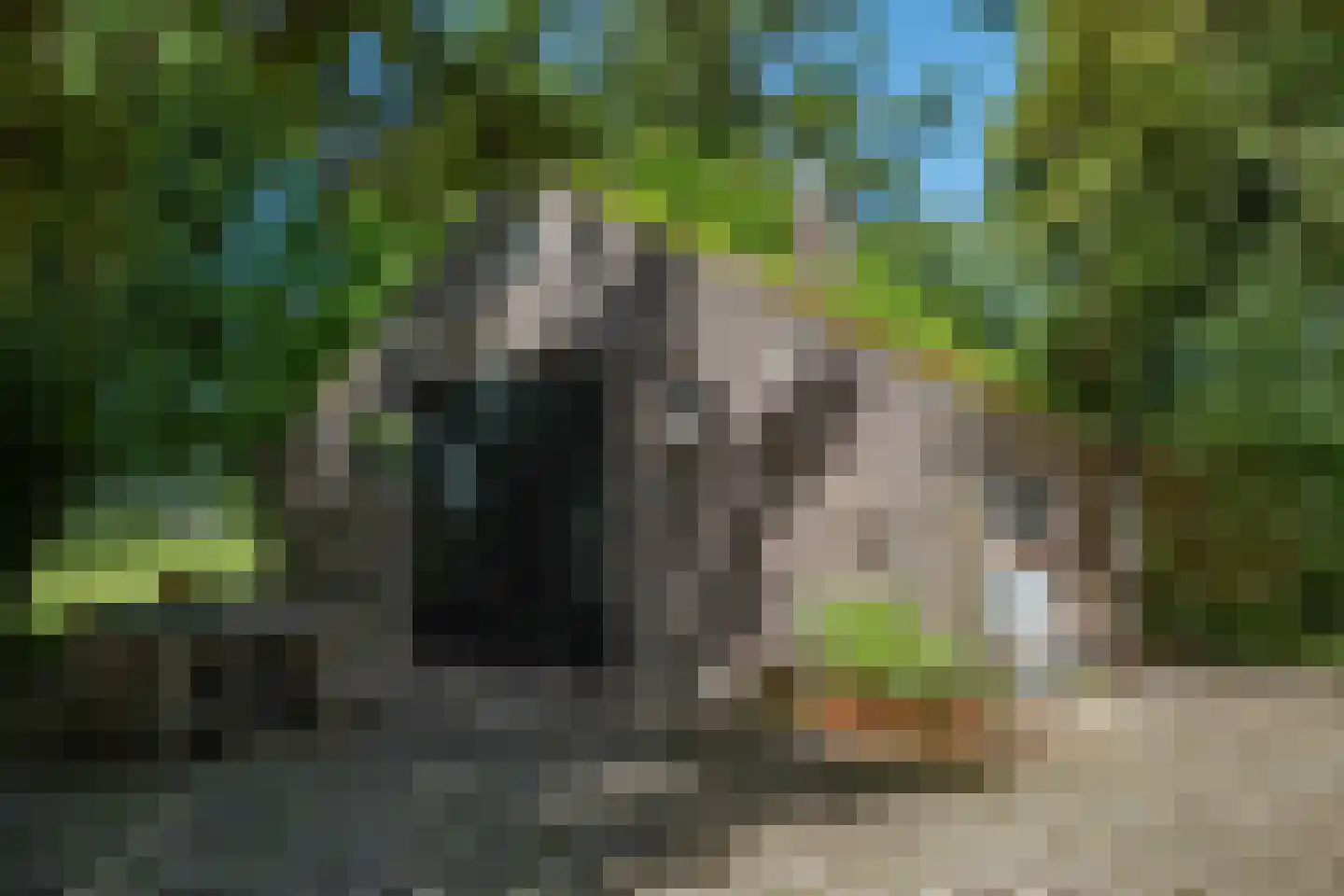 Koelerweg 11 Harfsen thumbnail 67