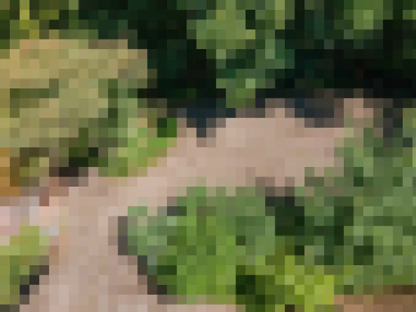 Koelerweg 11 Harfsen thumbnail 68