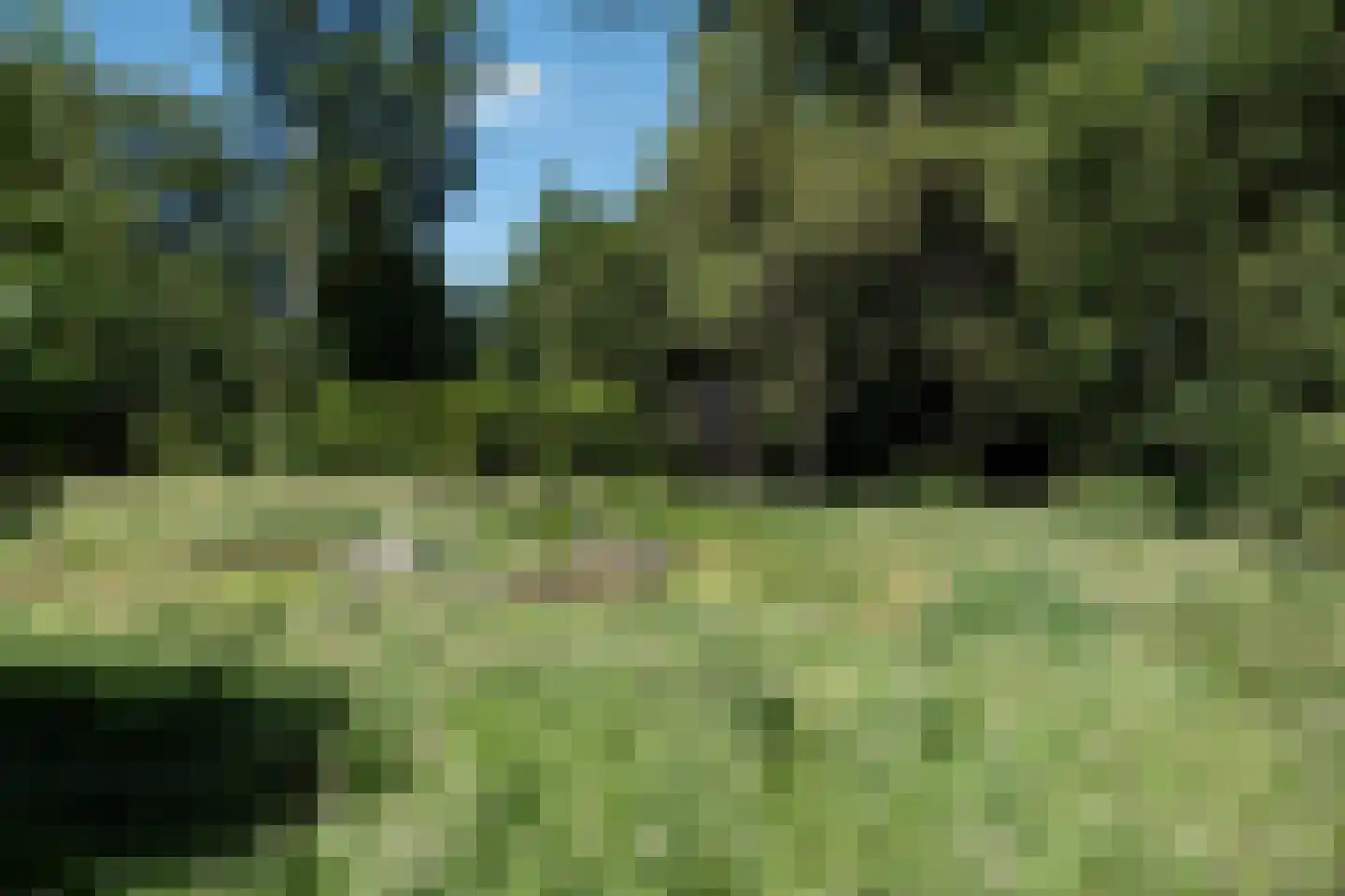 Koelerweg 11 Harfsen thumbnail 69