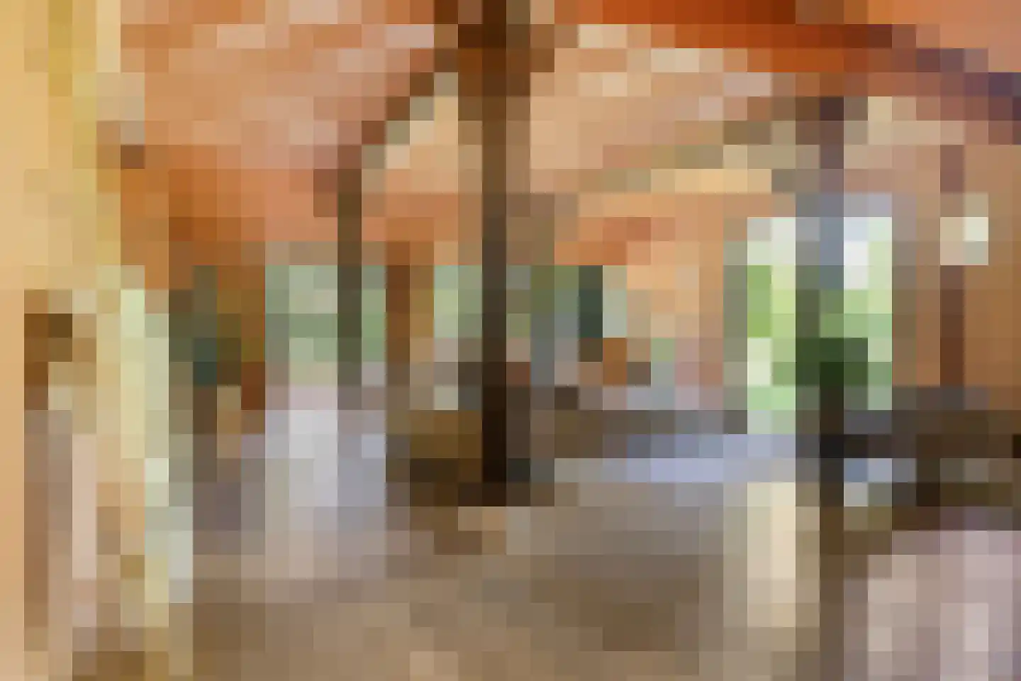 Koelerweg 11 Harfsen thumbnail 7
