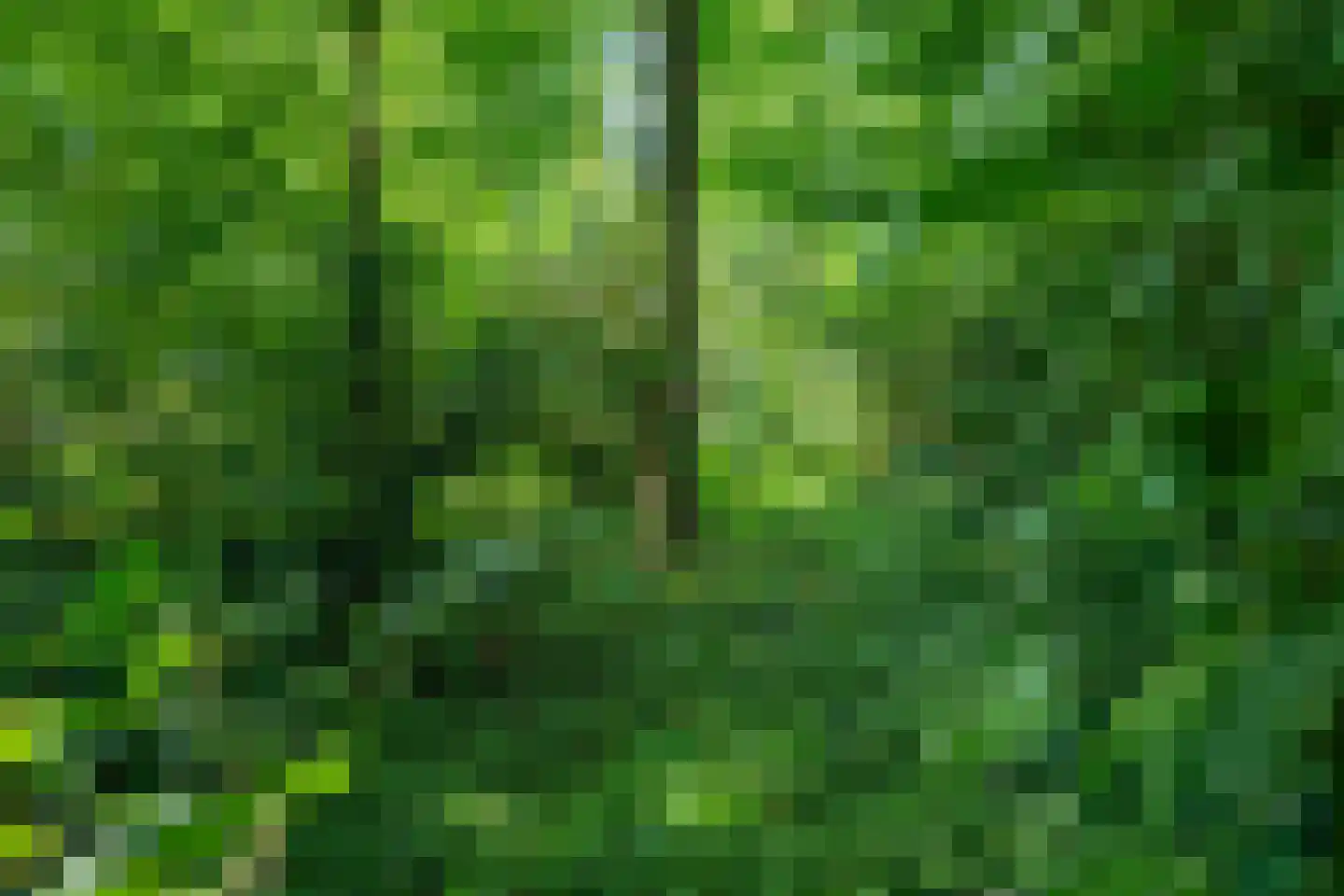 Koelerweg 11 Harfsen thumbnail 72