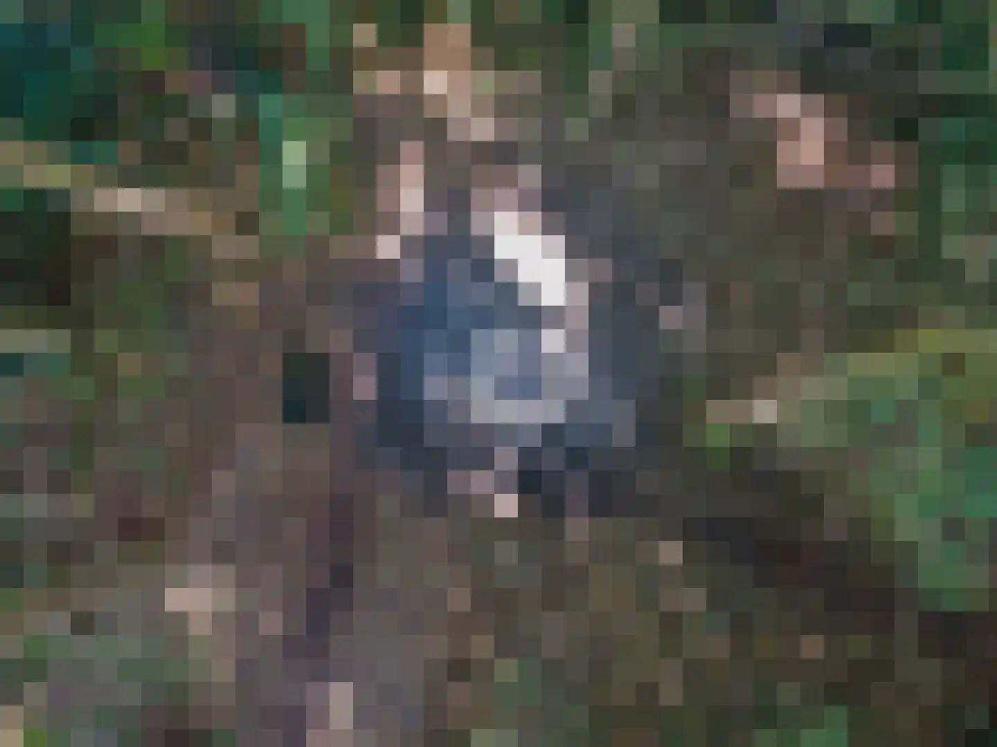 Koelerweg 11 Harfsen thumbnail 73