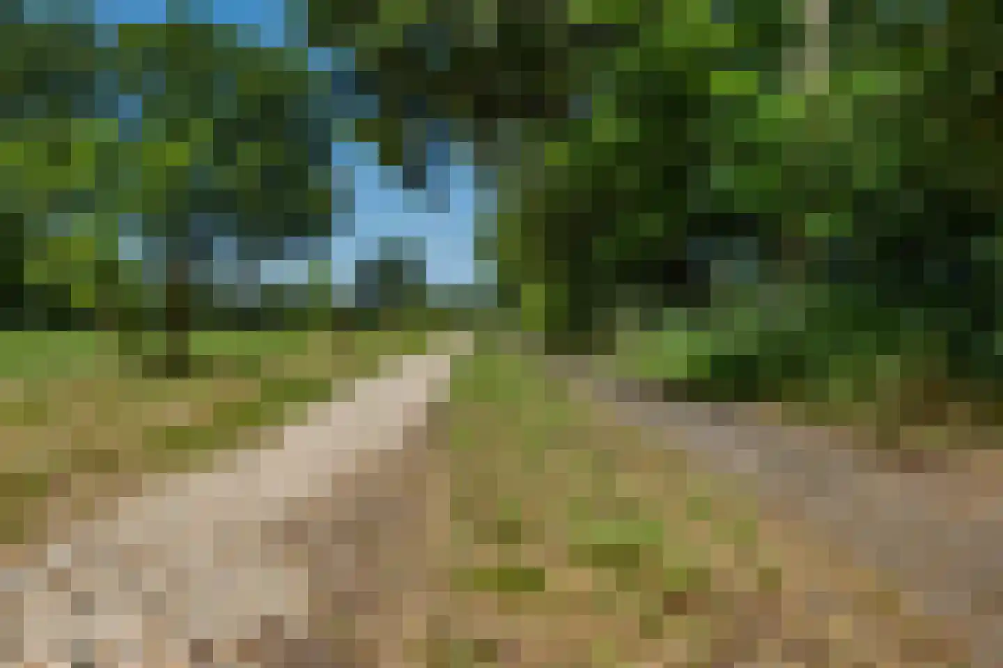 Koelerweg 11 Harfsen thumbnail 74