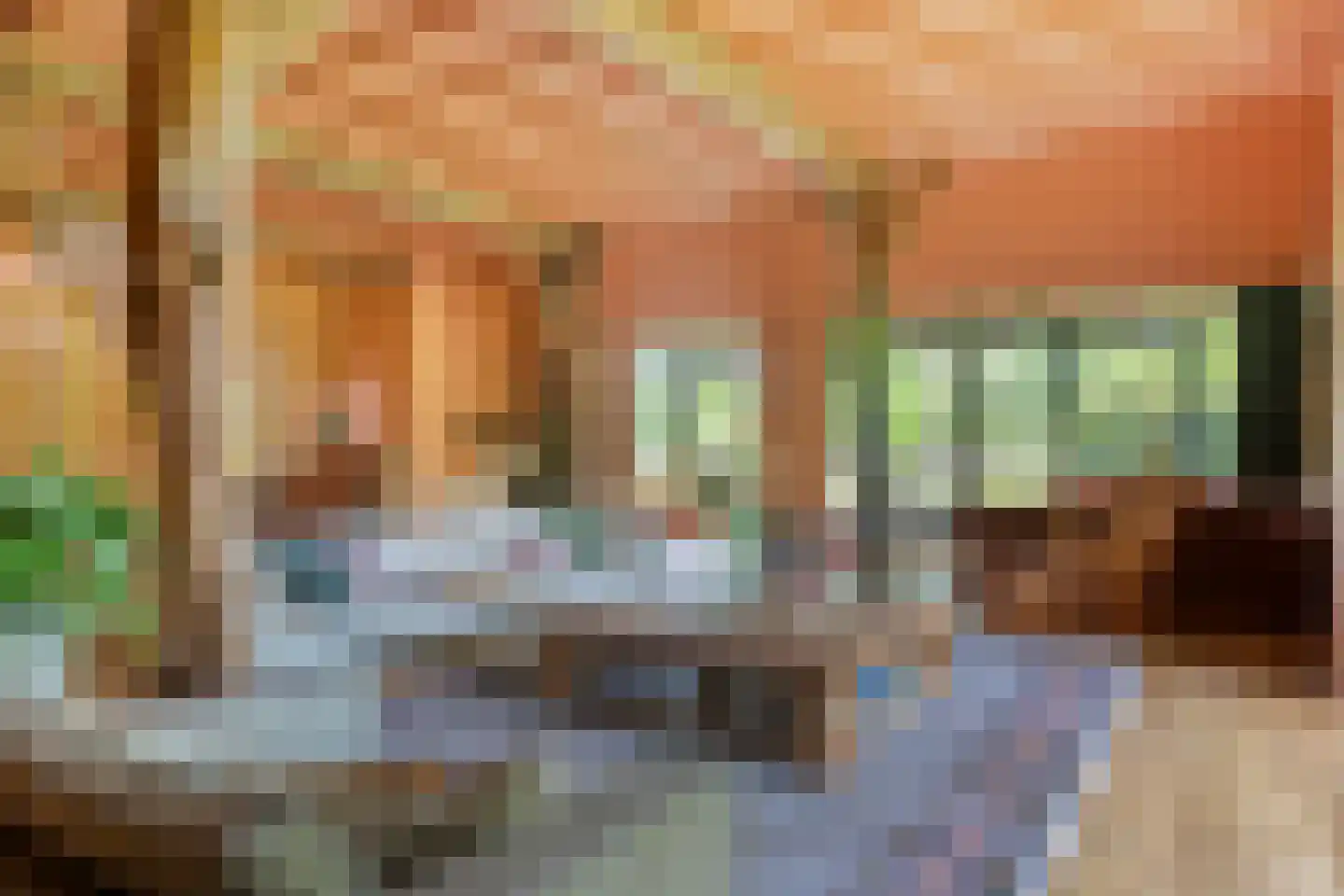 Koelerweg 11 Harfsen thumbnail 8