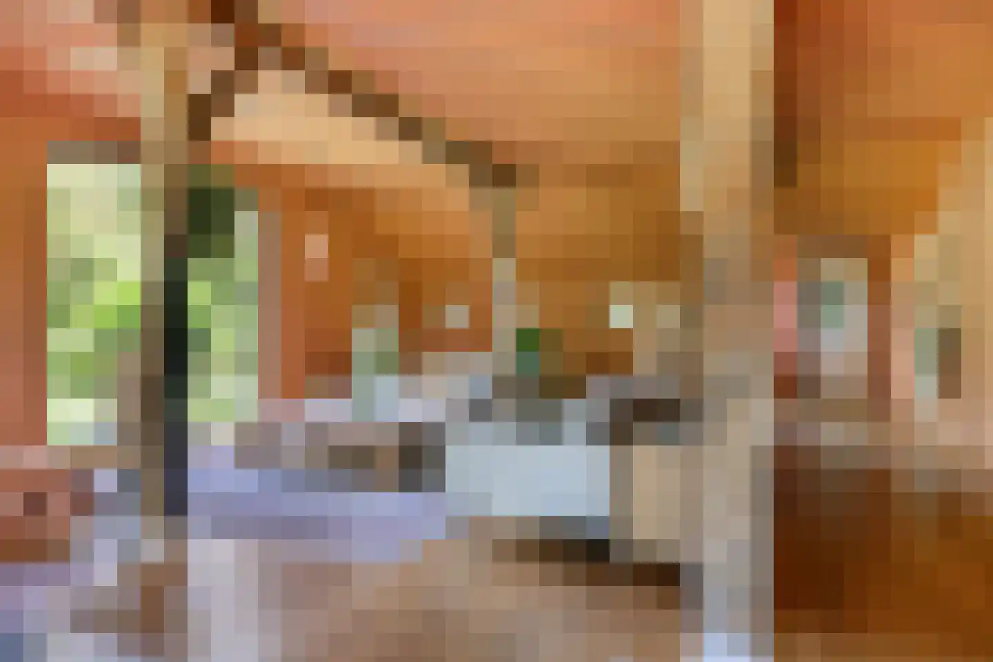 Koelerweg 11 Harfsen thumbnail 9