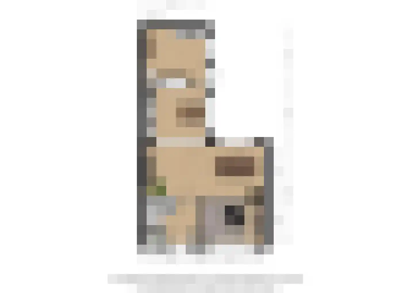 Koelestraat 43 Oud Gastel thumbnail 30