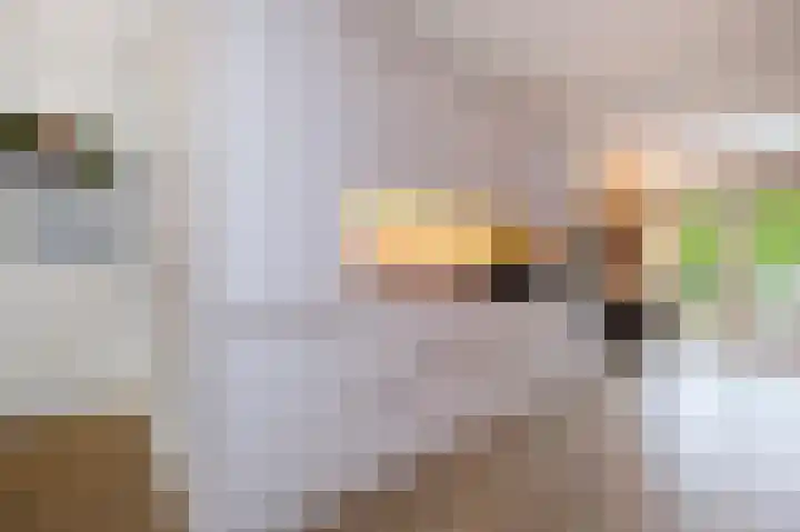 Koelgoorn 21 Diever thumbnail 10