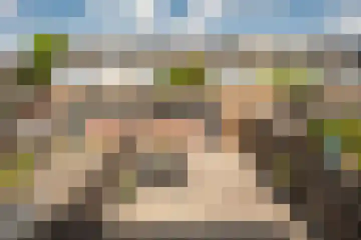 Koelgoorn 21 Diever thumbnail 11