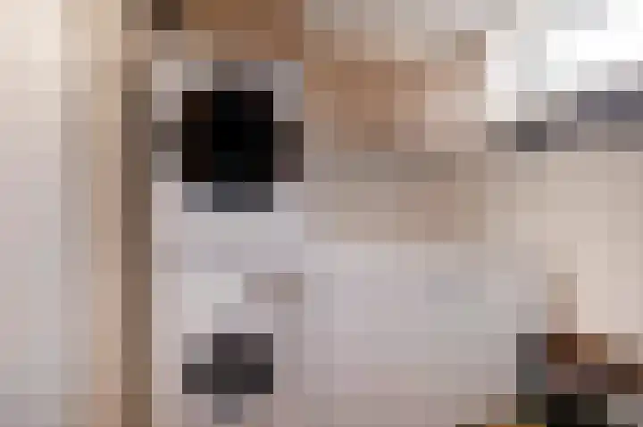Koelgoorn 21 Diever thumbnail 15
