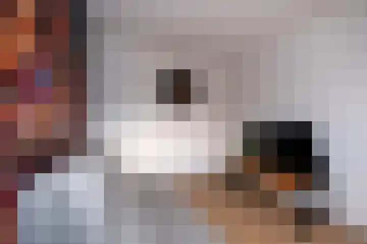 Koelgoorn 21 Diever thumbnail 17