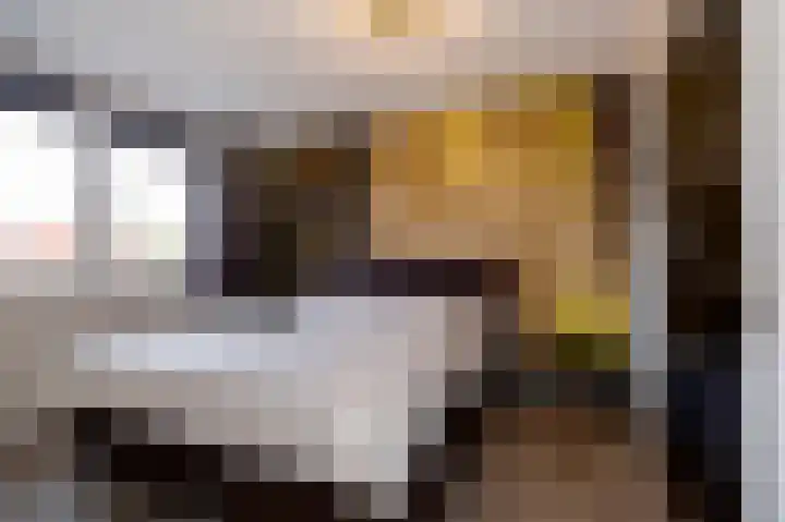 Koelgoorn 21 Diever thumbnail 25