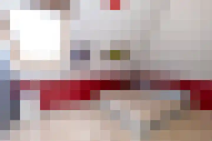 Koelgoorn 21 Diever thumbnail 30