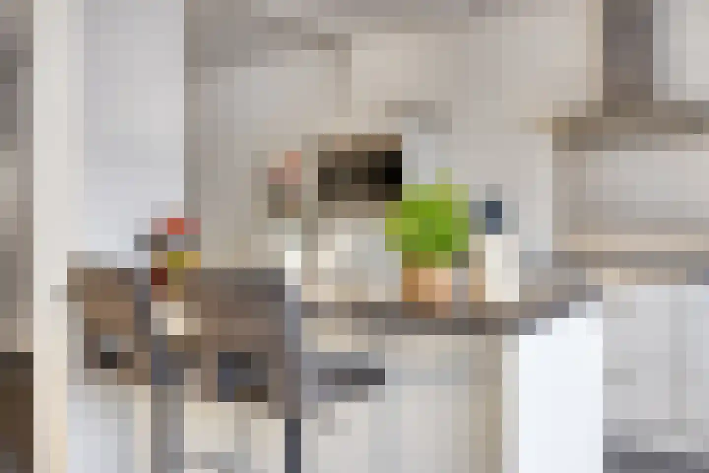 Koelgoorn 21 Diever thumbnail 31
