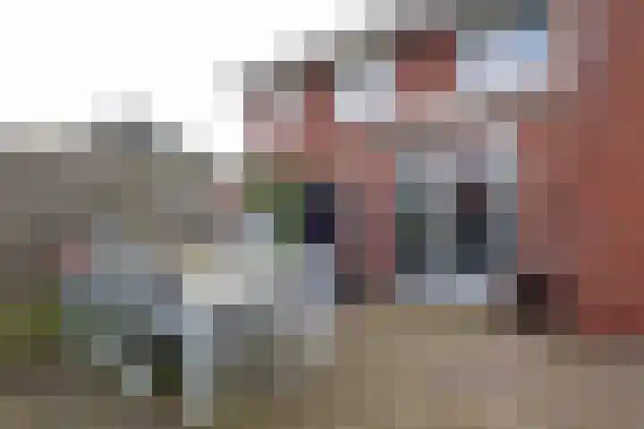 Koelgoorn 21 Diever thumbnail 34