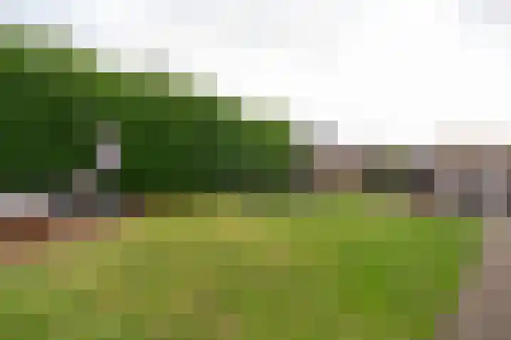 Koelgoorn 21 Diever thumbnail 35