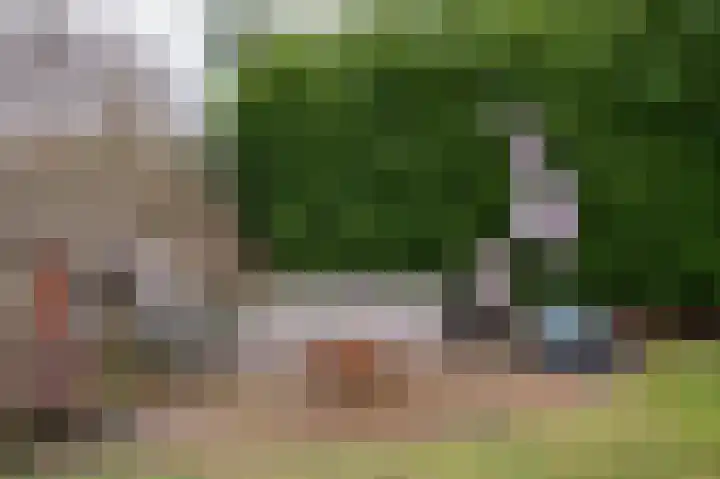 Koelgoorn 21 Diever thumbnail 36