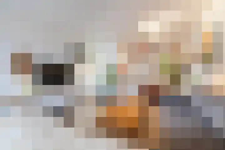 Koelgoorn 21 Diever thumbnail 38