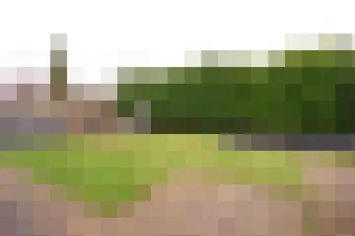 Koelgoorn 21 Diever thumbnail 38