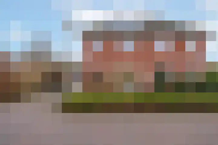Koelgoorn 21 Diever thumbnail 39
