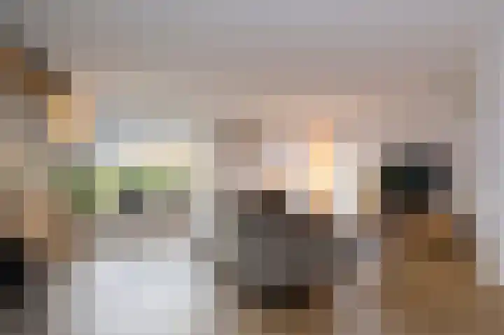 Koelgoorn 21 Diever thumbnail 4