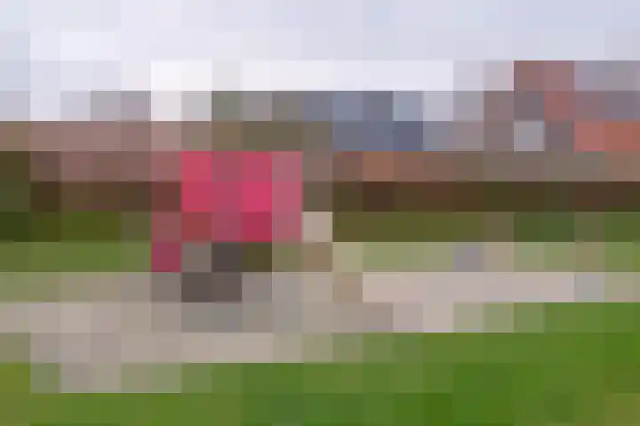 Koelgoorn 21 Diever thumbnail 43