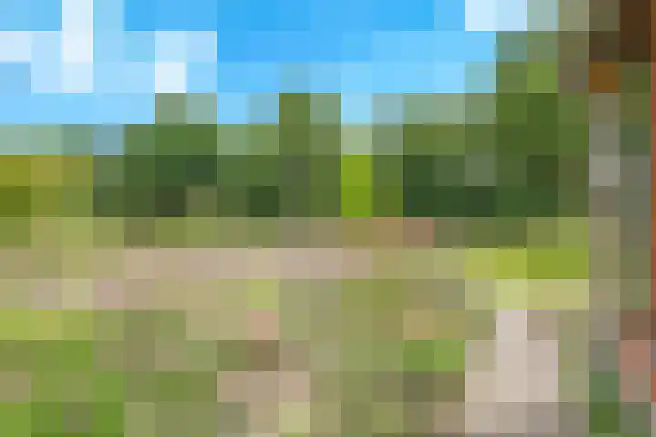 Koelgoorn 21 Diever thumbnail 6