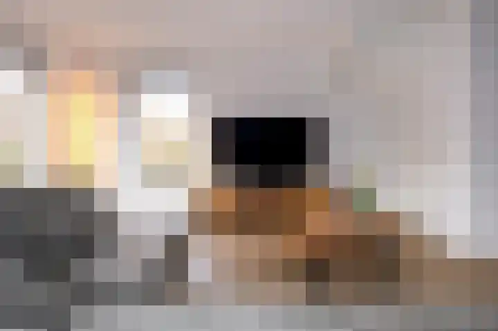 Koelgoorn 21 Diever thumbnail 7