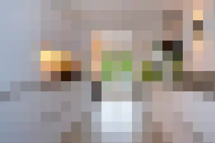 Koelgoorn 21 Diever thumbnail 8