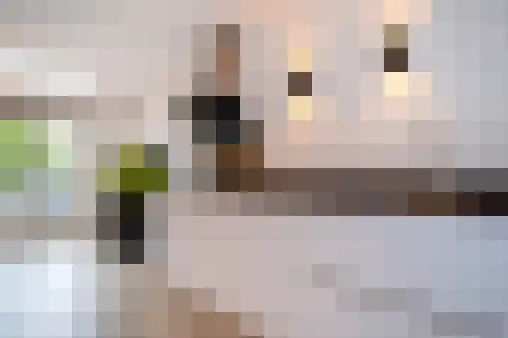 Koelgoorn 21 Diever thumbnail 9