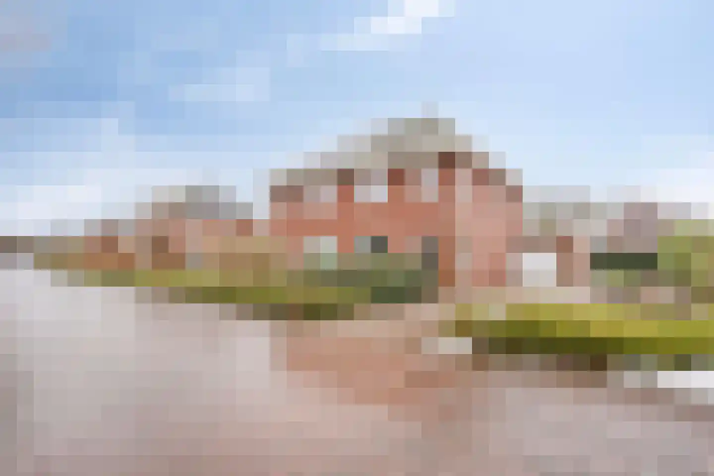 Koelgoorn 23 Diever