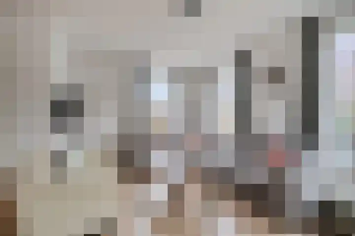 Koelgoorn 23 Diever thumbnail 10