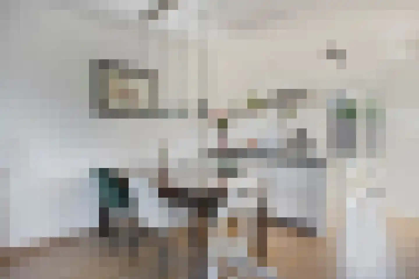 Koelgoorn 23 Diever thumbnail 12