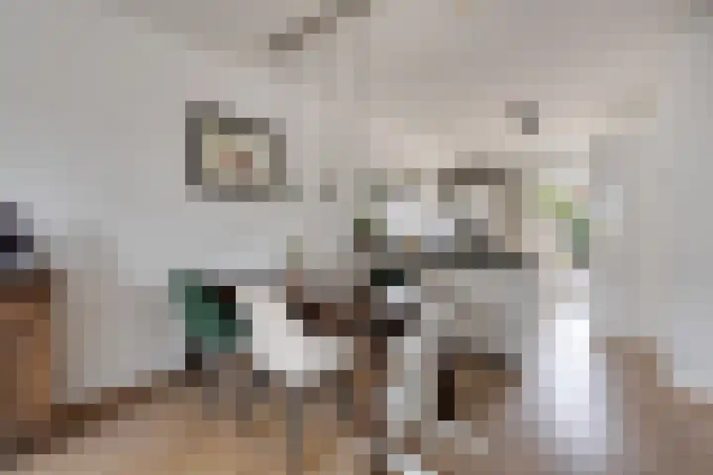 Koelgoorn 23 Diever thumbnail 12