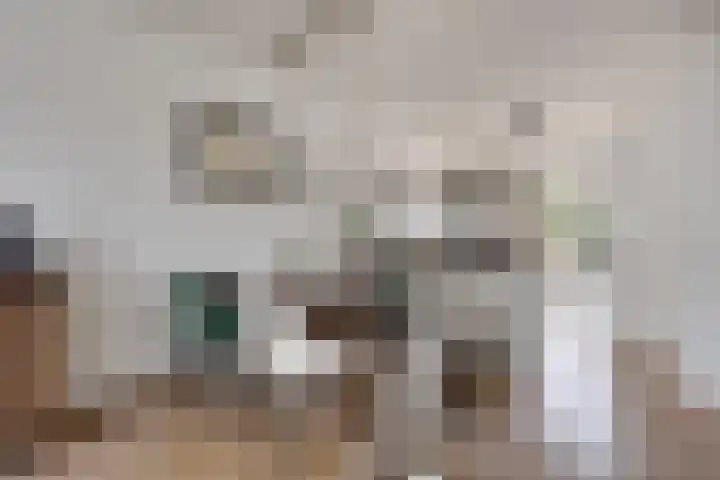 Koelgoorn 23 Diever thumbnail 12