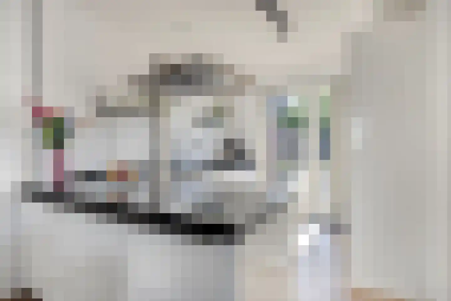 Koelgoorn 23 Diever thumbnail 13